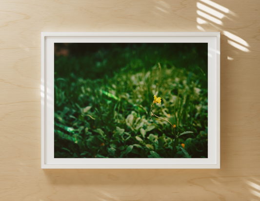 Choosing the Perfect Frame for Your Art Print